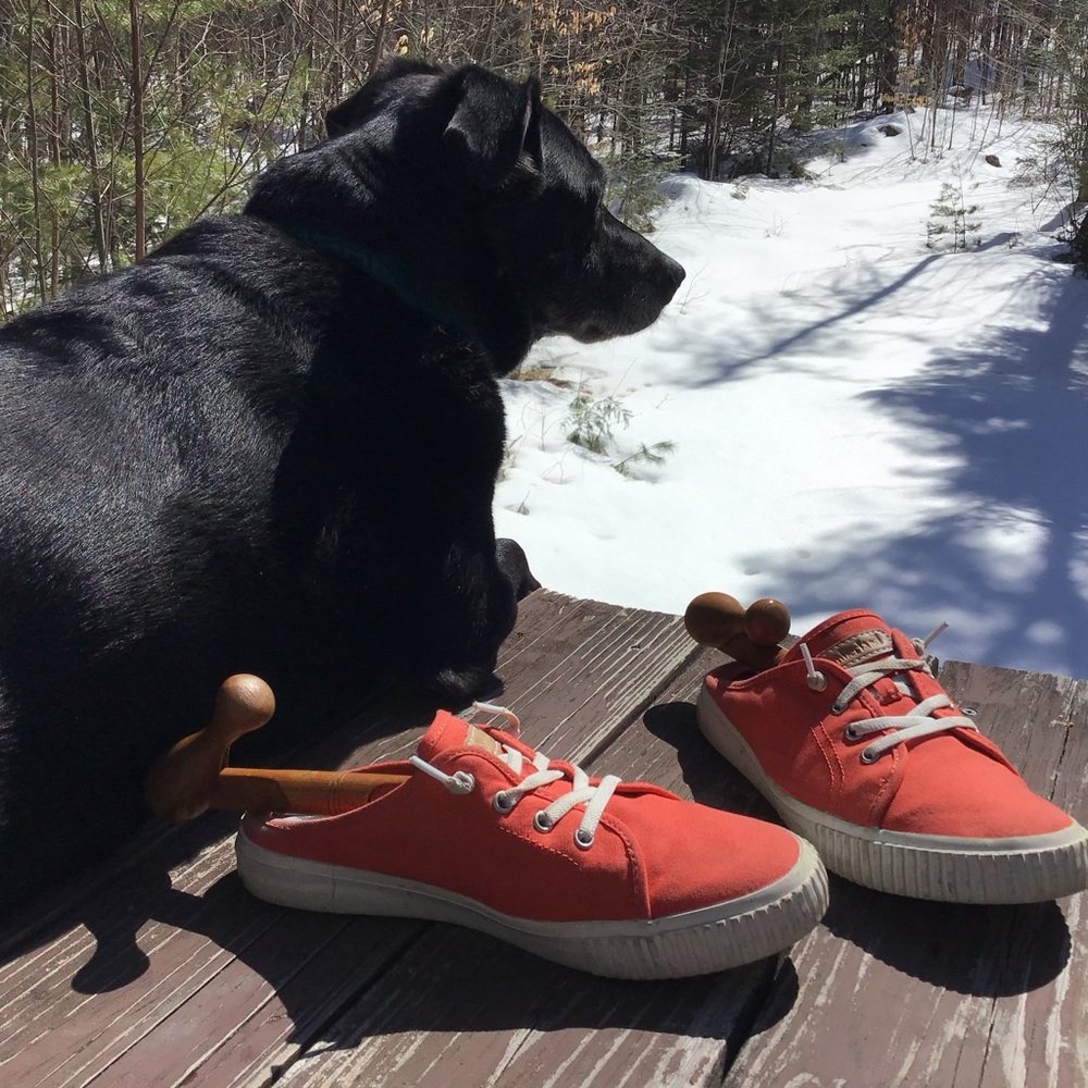 Timberland coral Canvas Skyla Bay Mule Sneaker